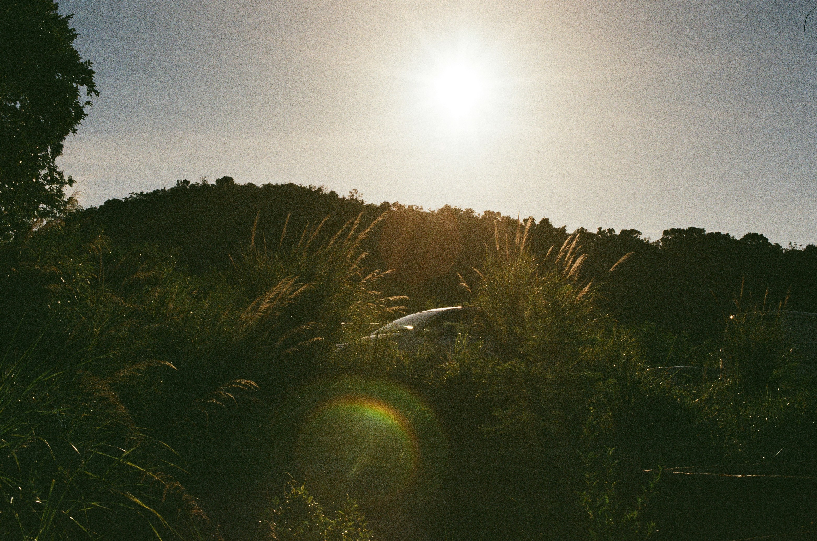 Sumokoin header image