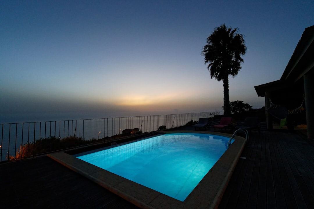 swimming pool near palm trees during sunset