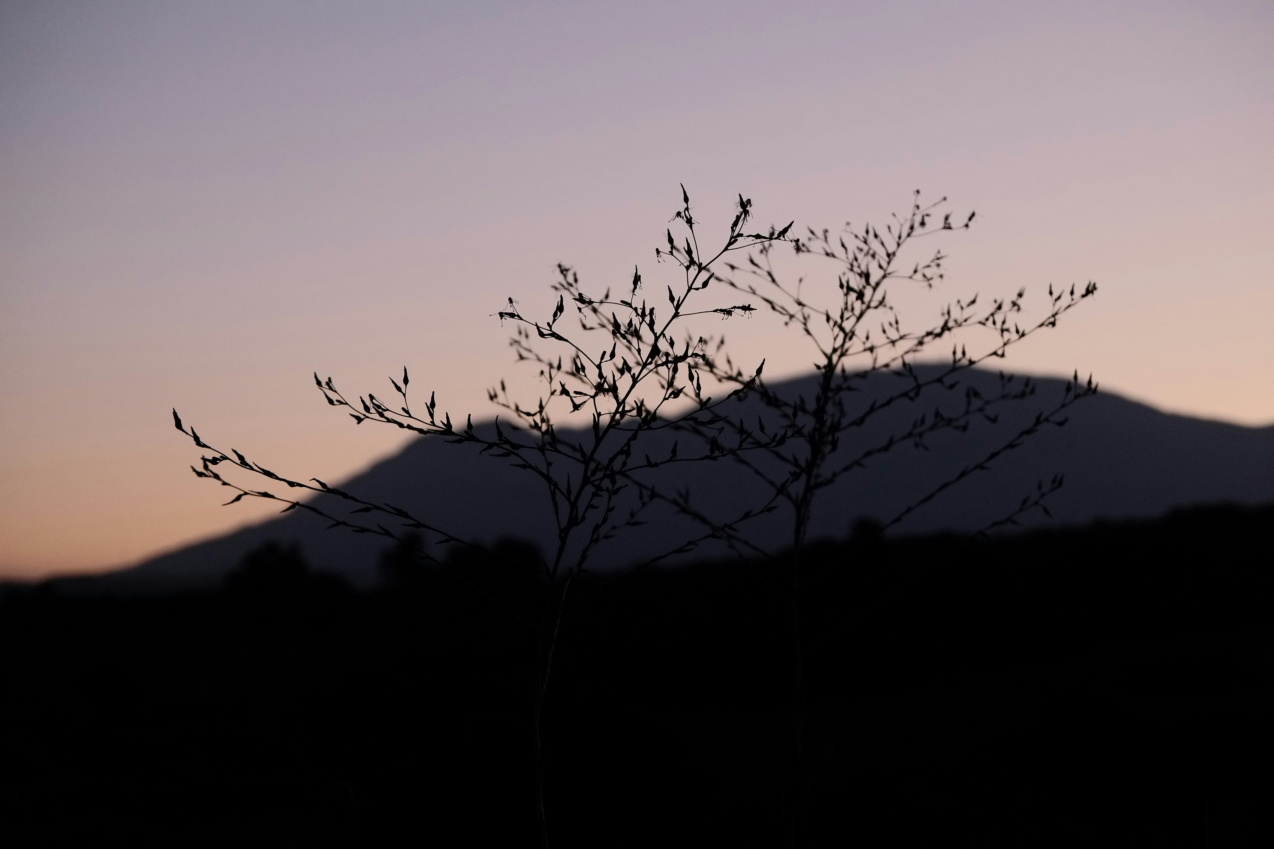 Photo by victor_vector