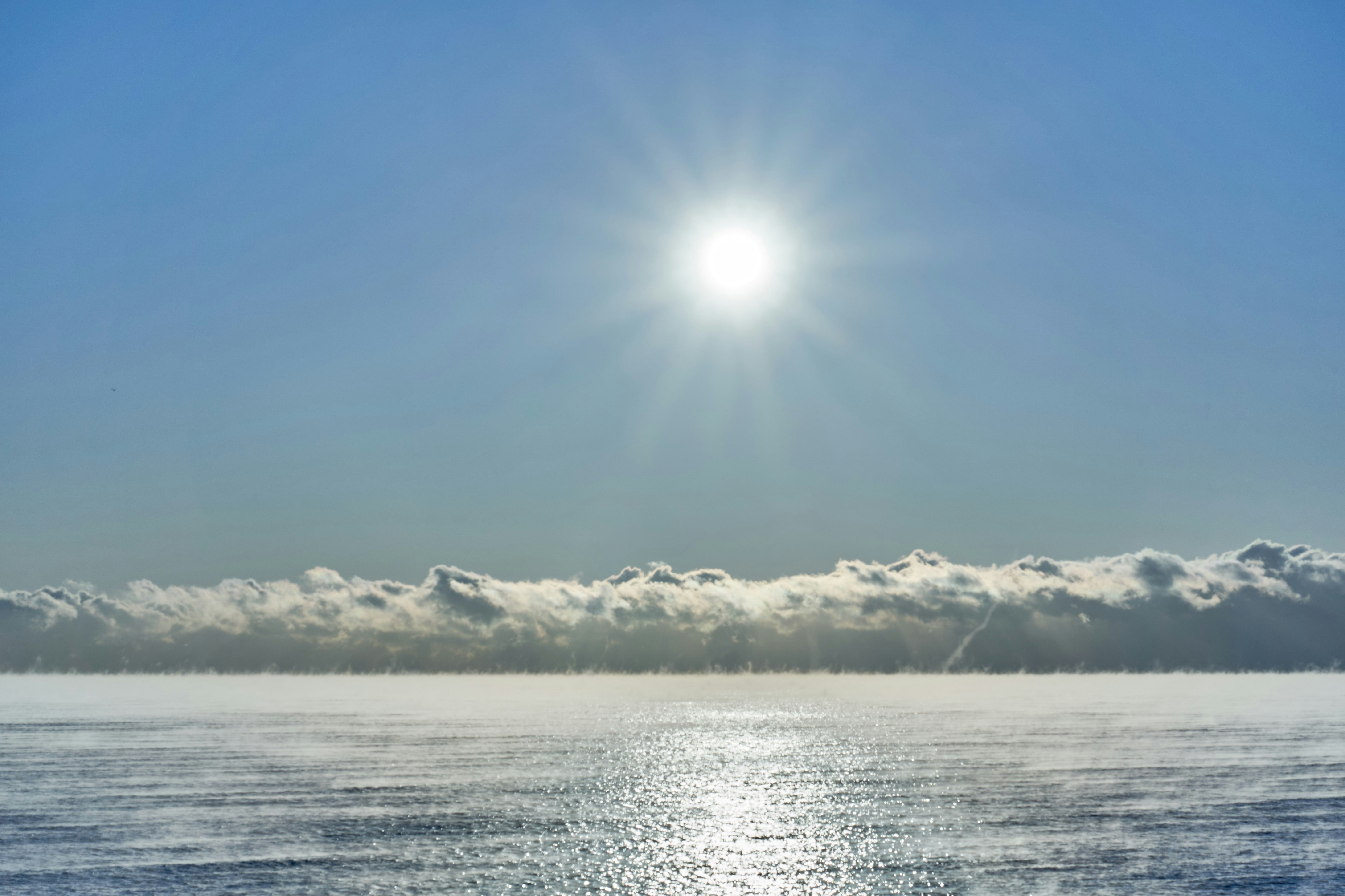 Photo by wolfgang_hasselmann