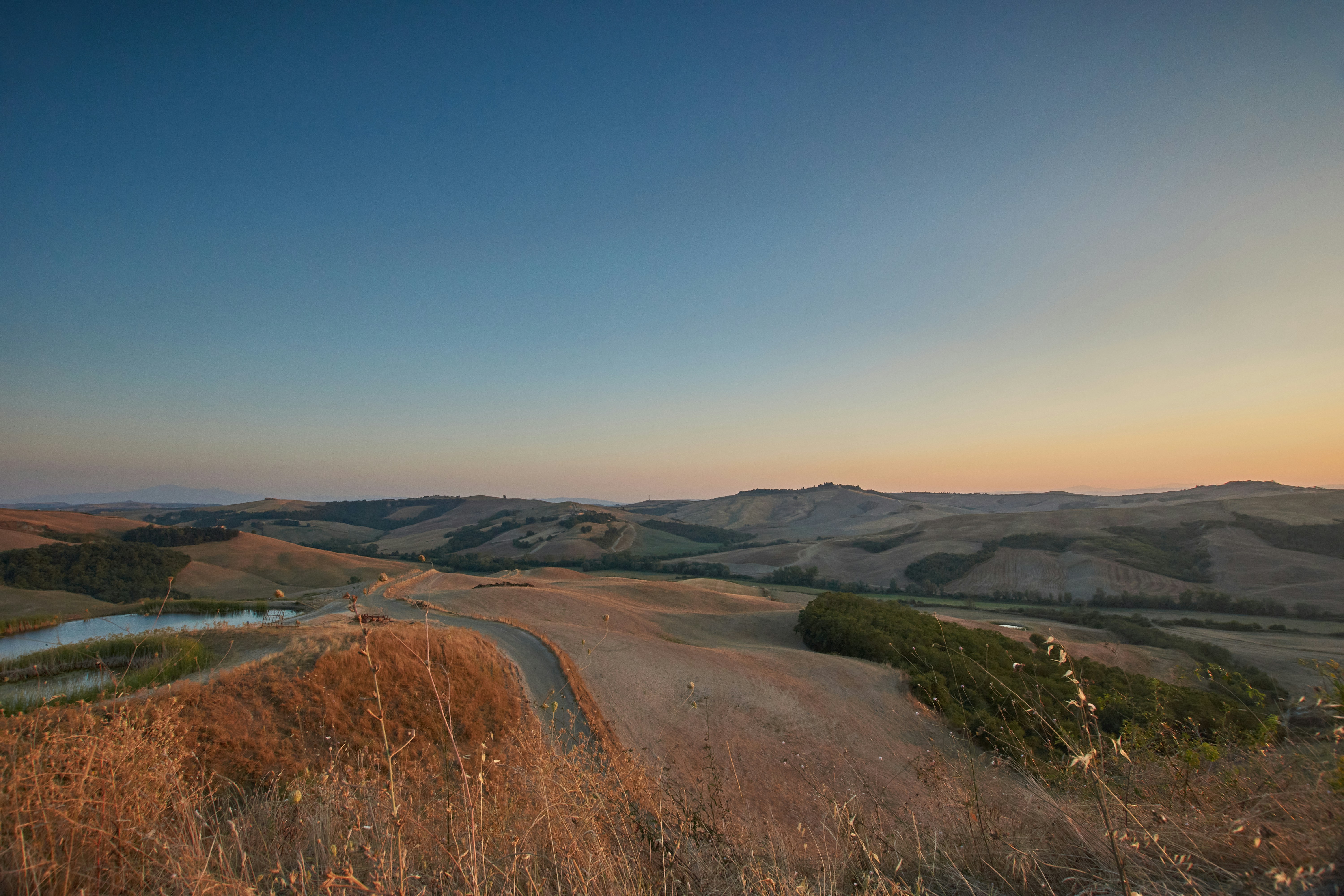 Photo by wolfgang_hasselmann