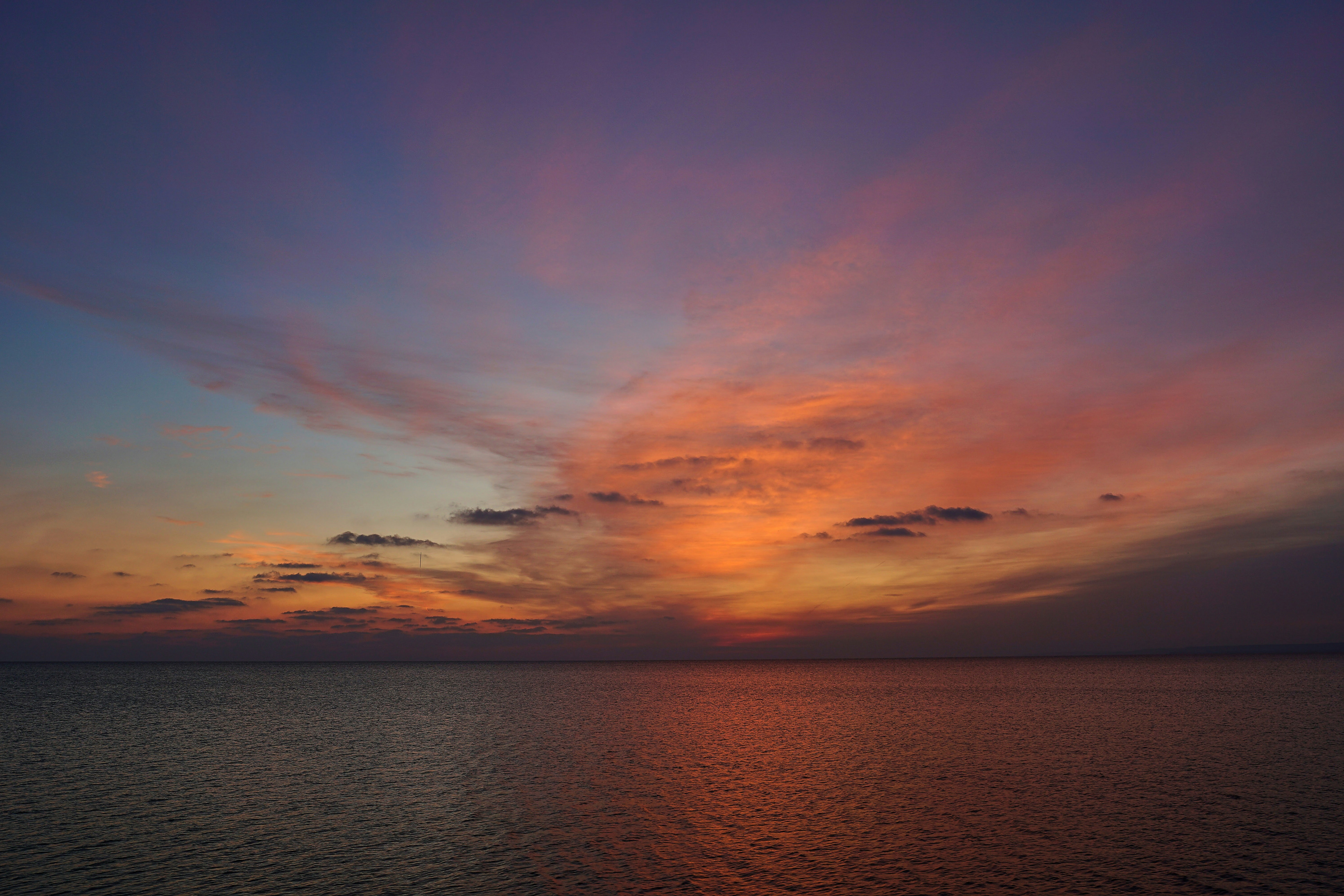 Photo by wolfgang_hasselmann