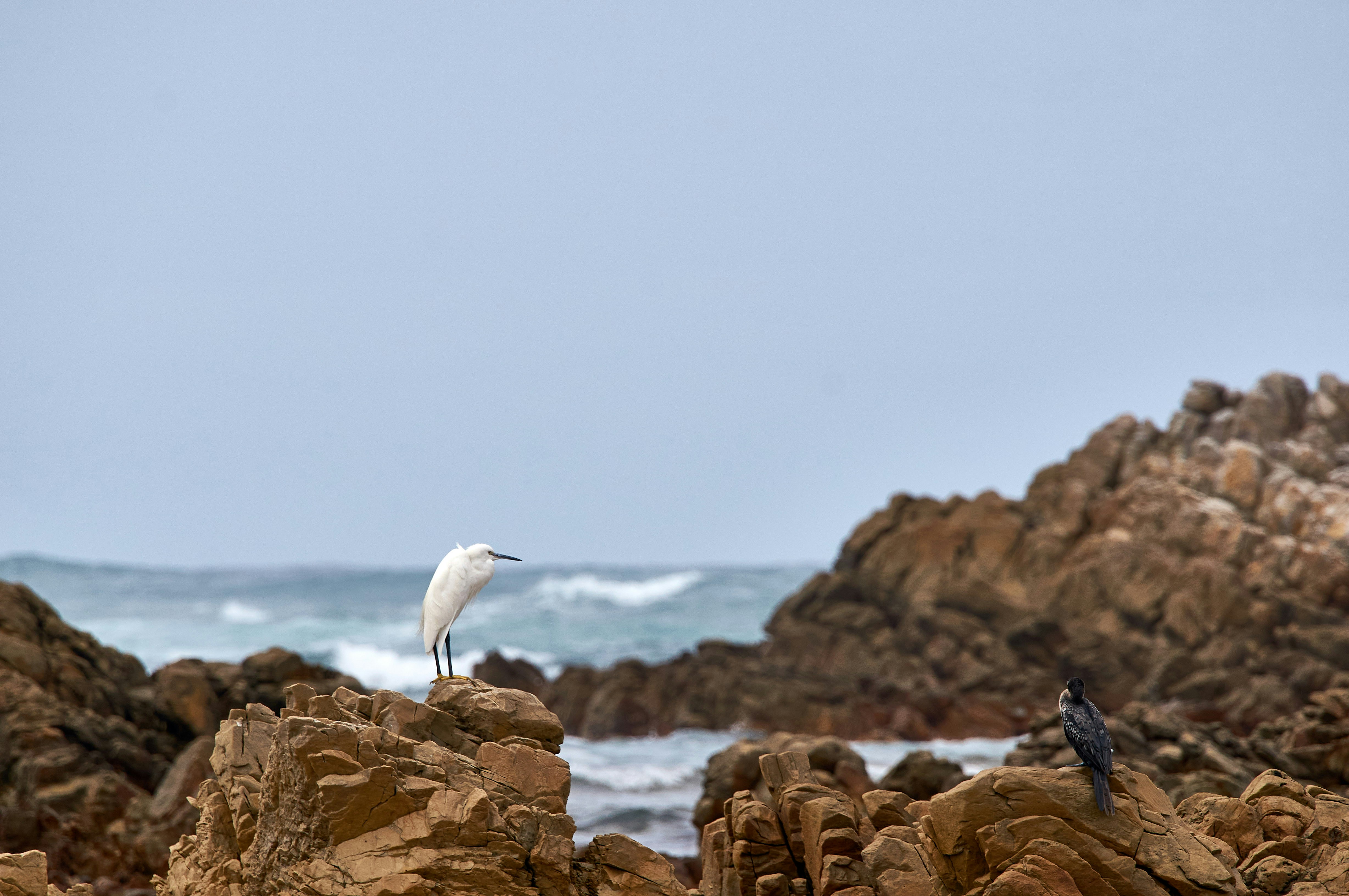 Photo by wolfgang_hasselmann