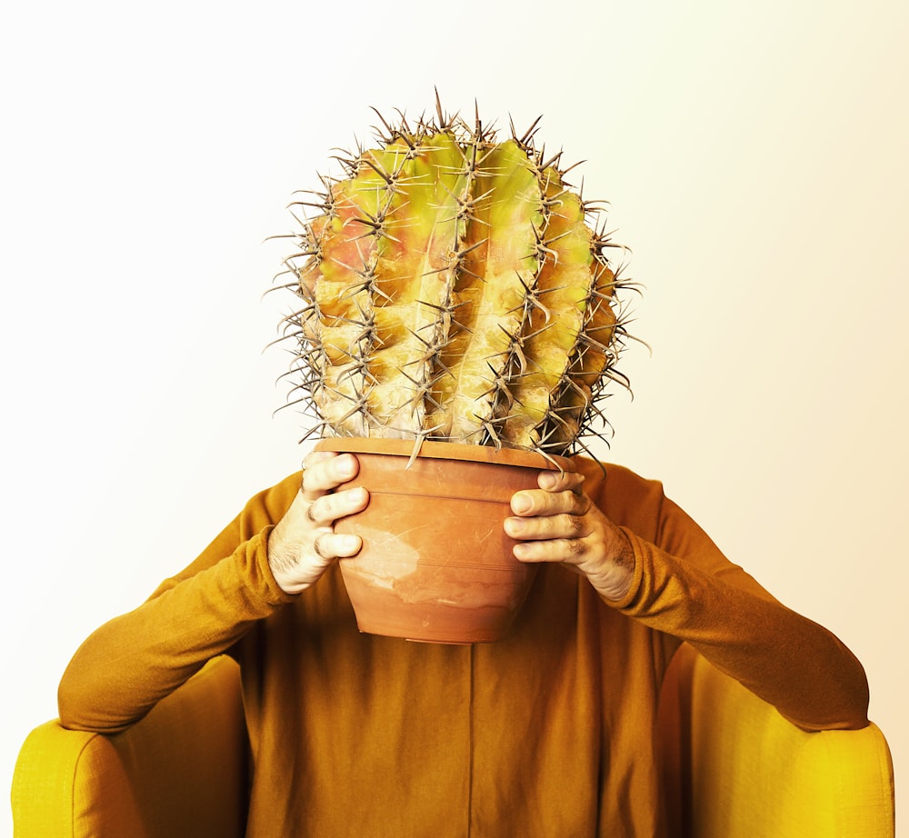 Person im gelben Langarmshirt mit grüner Kaktuspflanze