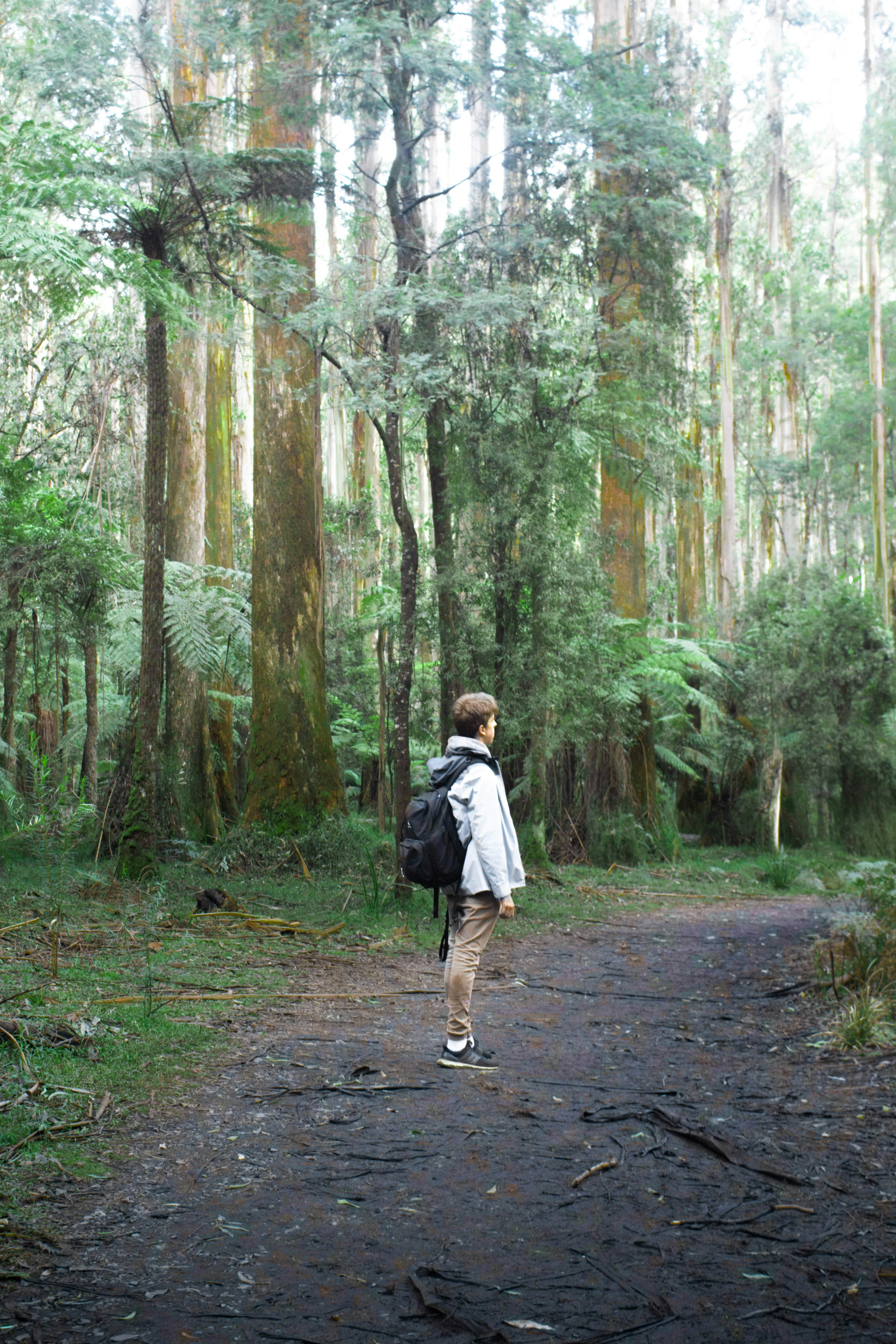 8 Australian Trails for Slow Sustainable Travel Enthusiasts