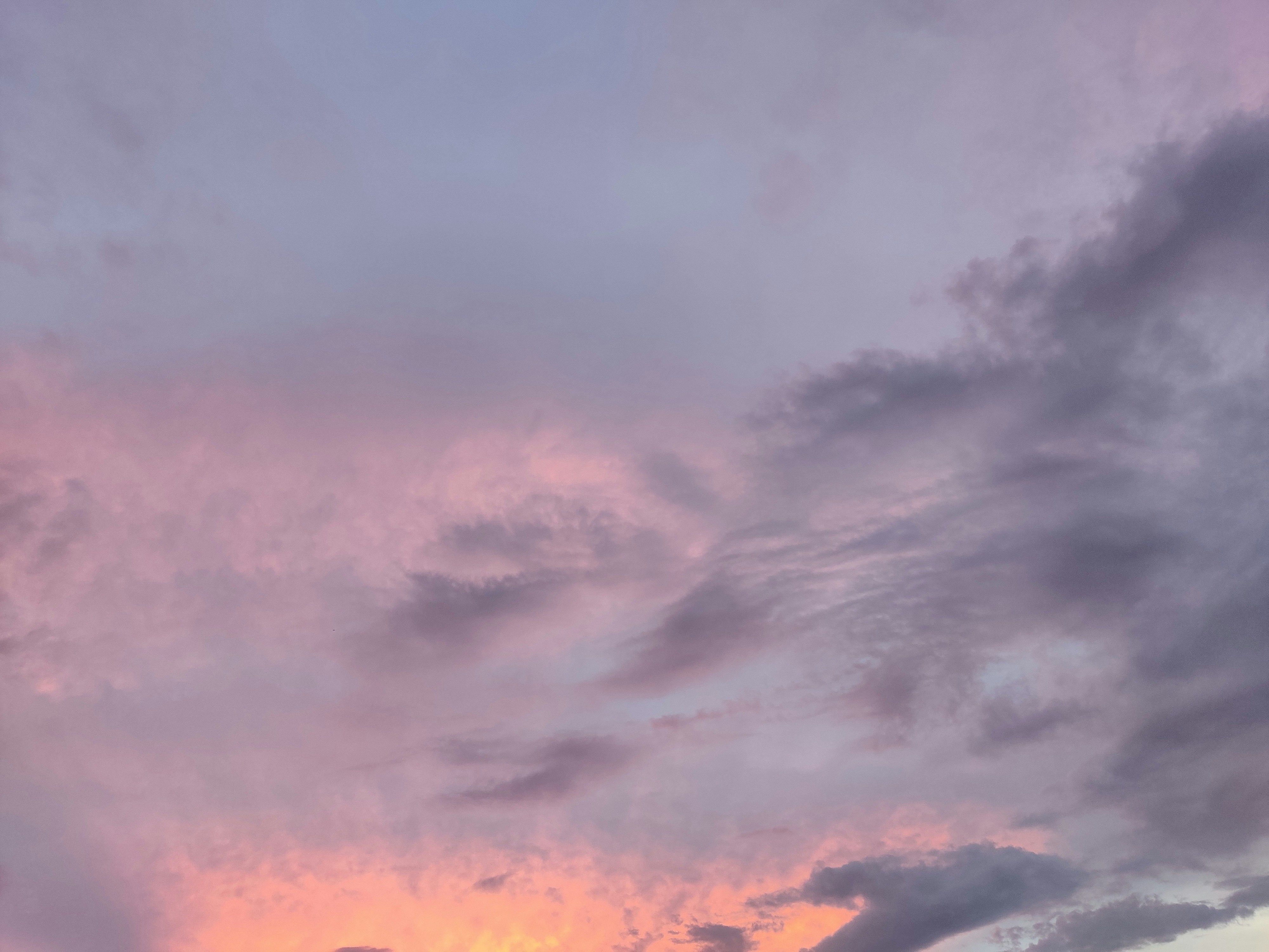 Photo by ramesh_photos