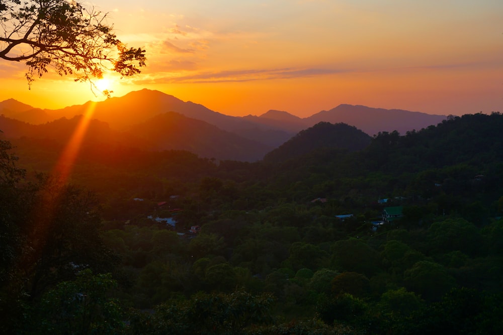 Grüne Bäume auf dem Berg während des Sonnenuntergangs