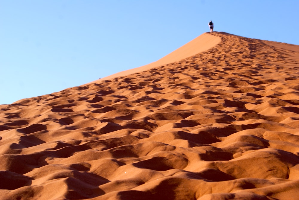 낮 하늘 아래 갈색 모래 위에 서 있는 사람
