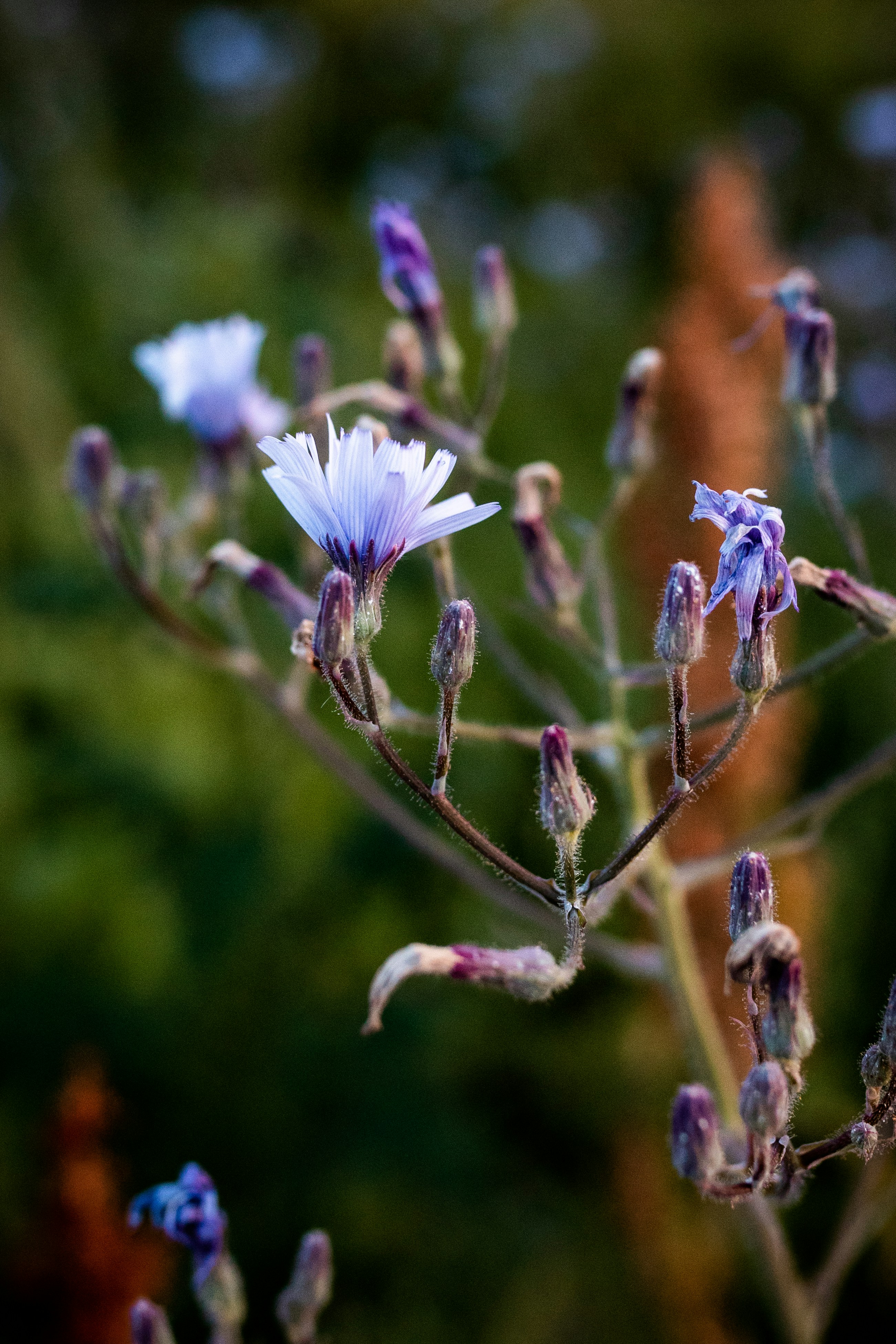 Photo by erikhansman