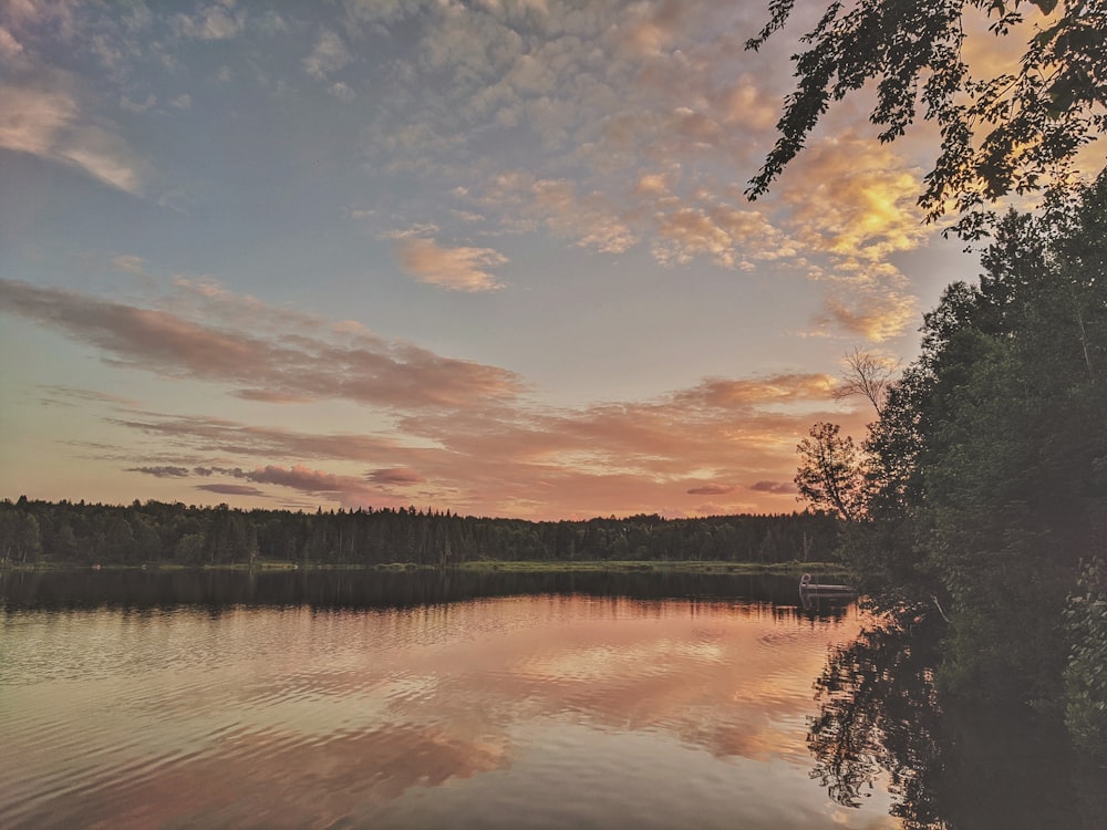 green trees beside lake under cloudy sky during daytime