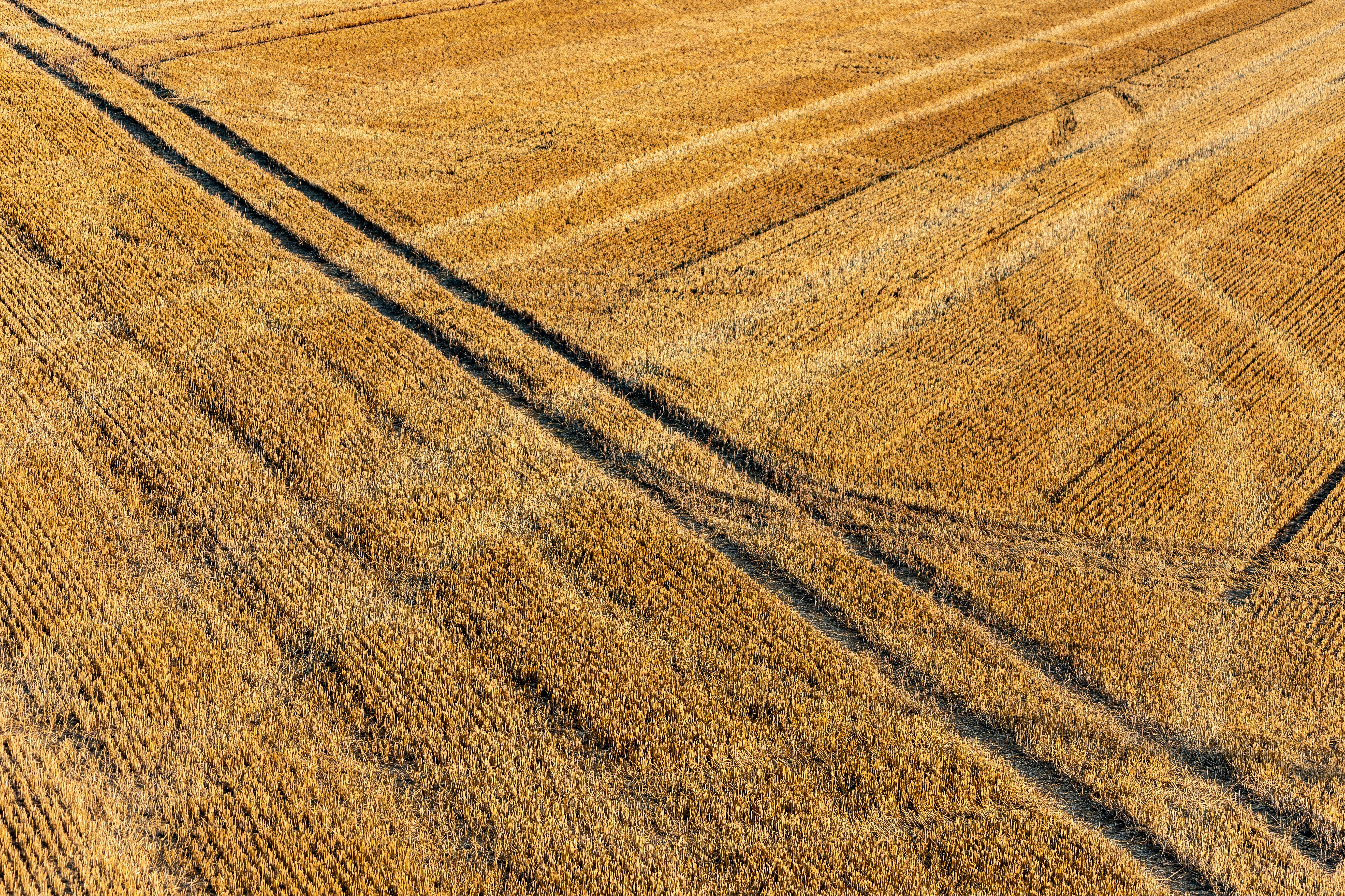 Photo by floschmaezz