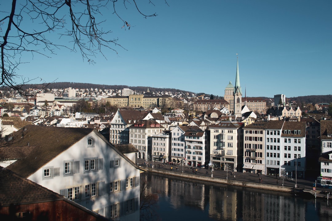 Town photo spot Zürich Lindenhof