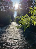 Sunlight filtering through trees over a serene river in the Pireneus region.