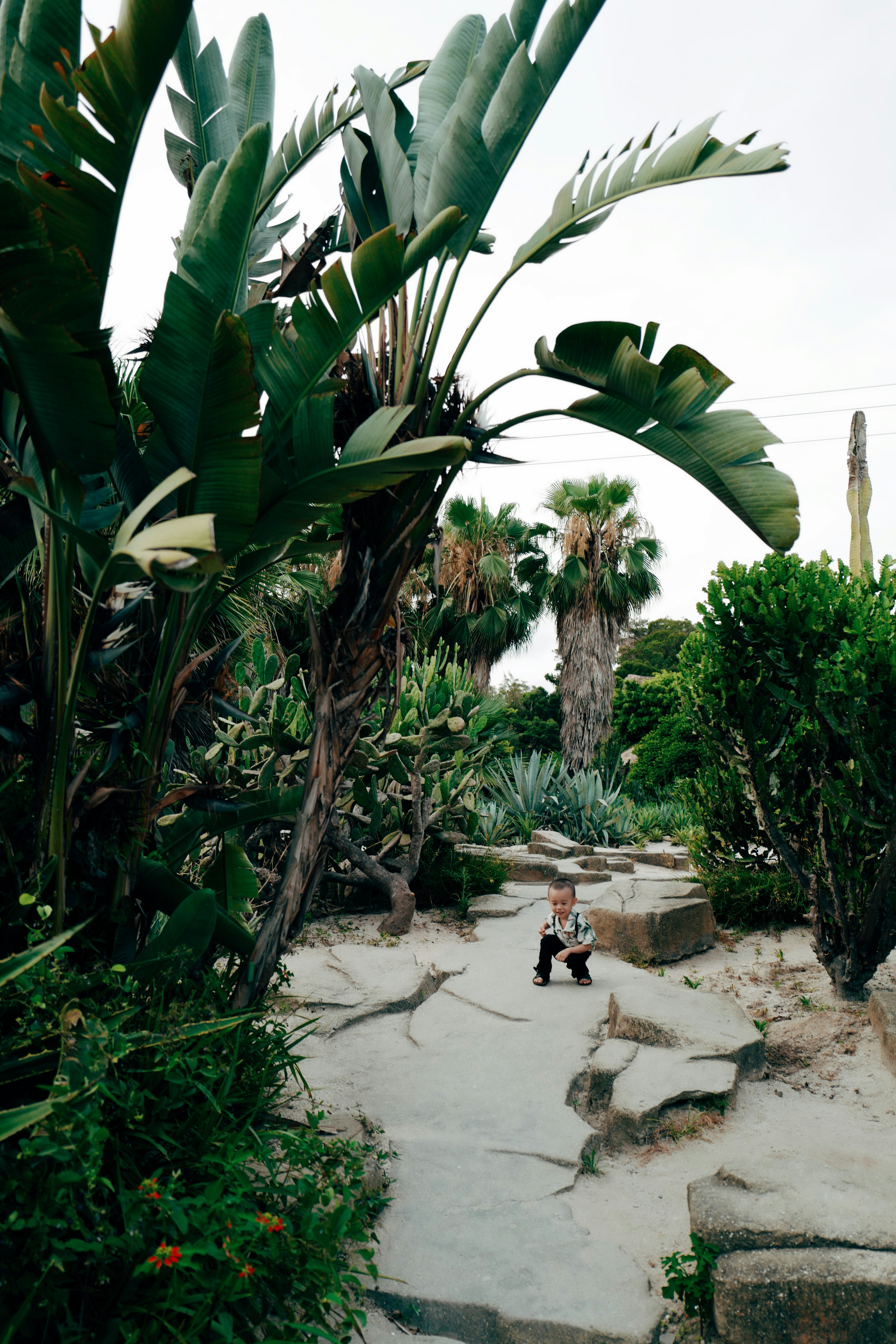 Los Angeles Zoo and Botanical Gardens photo 3