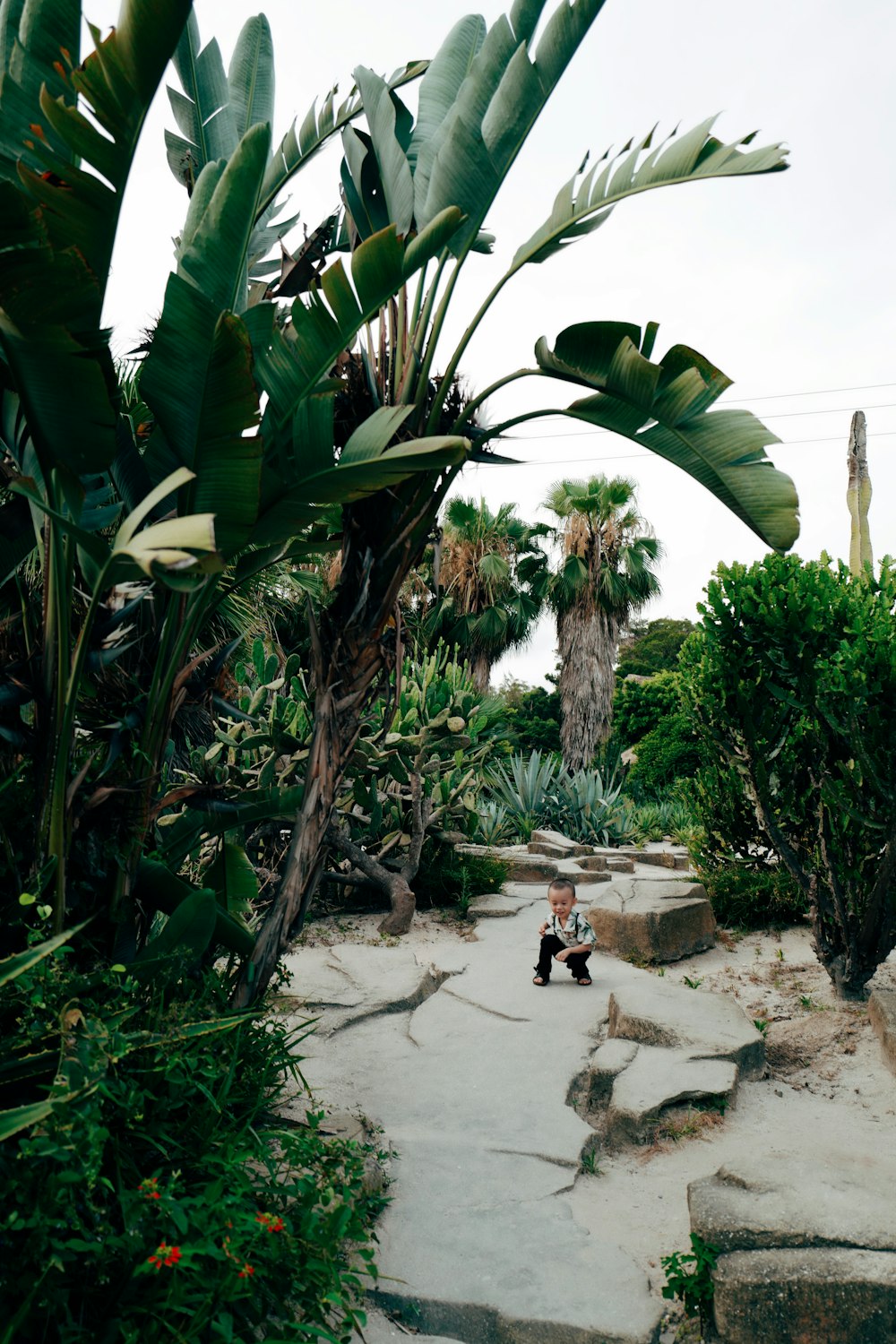 person sitting on concrete bench near palm trees during daytime