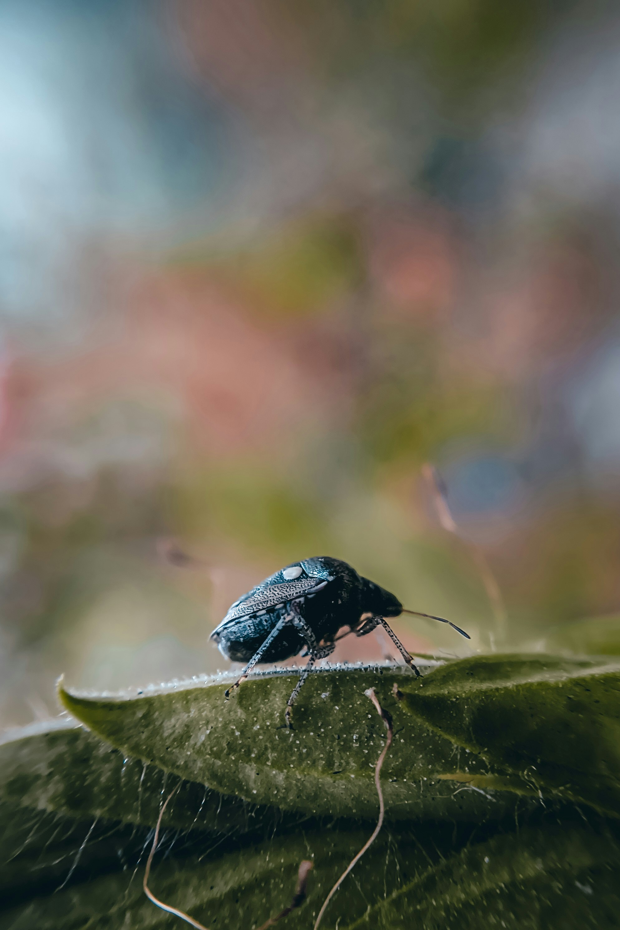 Photo by anirudh_gadgil