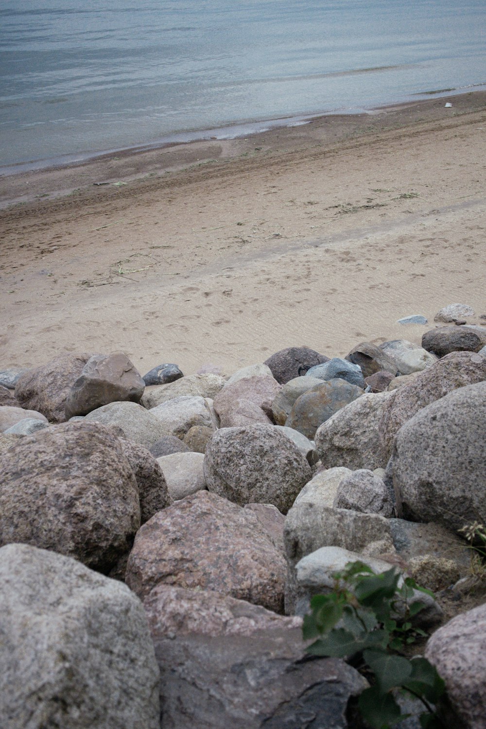 gray and white stones on gray sand near body of water during daytime