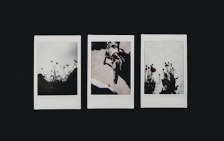 Three Polaroid photos are arranged side by side on a dark surface. The left and right images depict silhouettes of flowers or plants against a light background, creating a shadowy effect. The center image shows a dog or similar animal positioned diagonally, facing downward on a light surface.