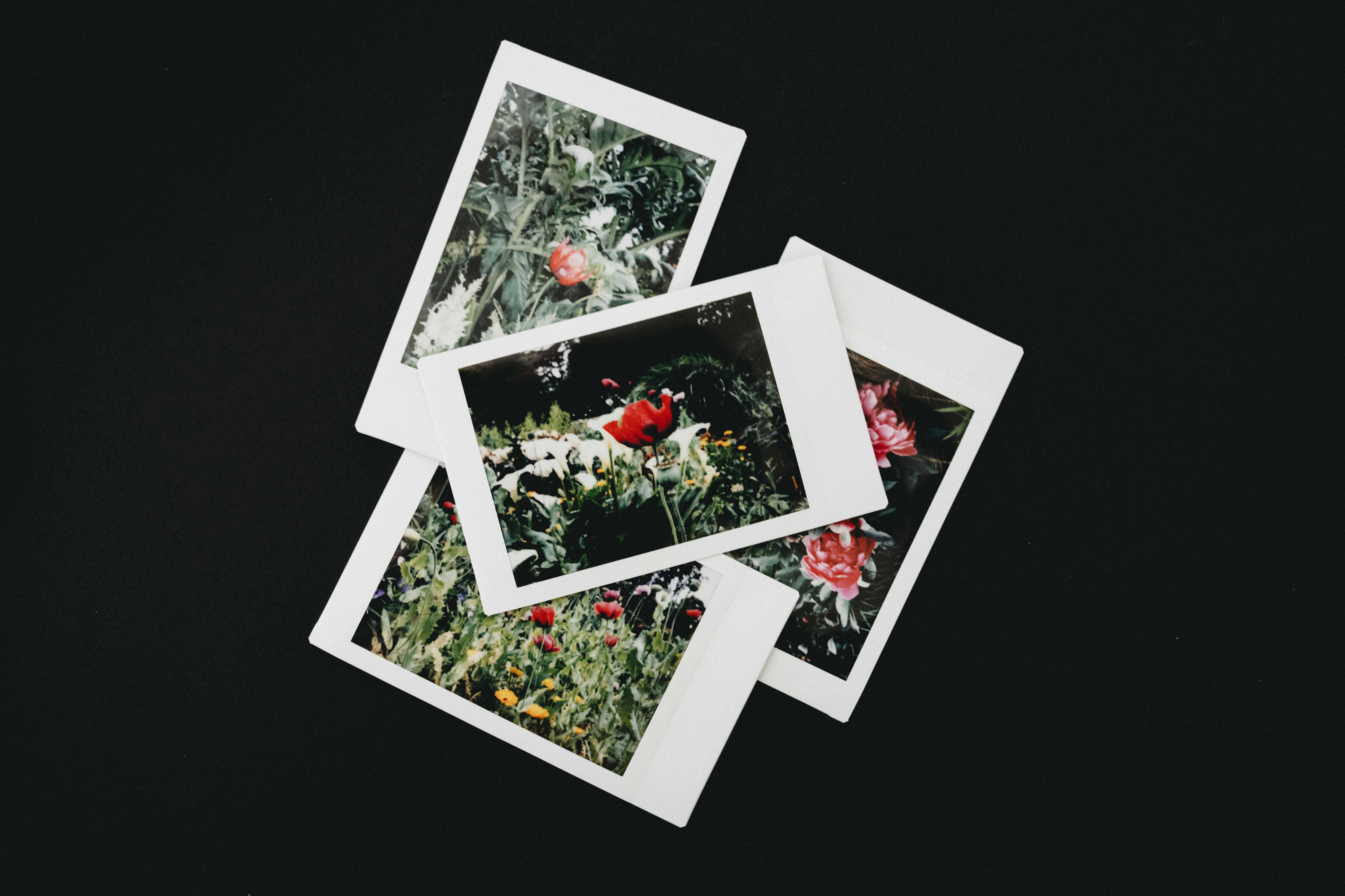 Photo by anniespratt