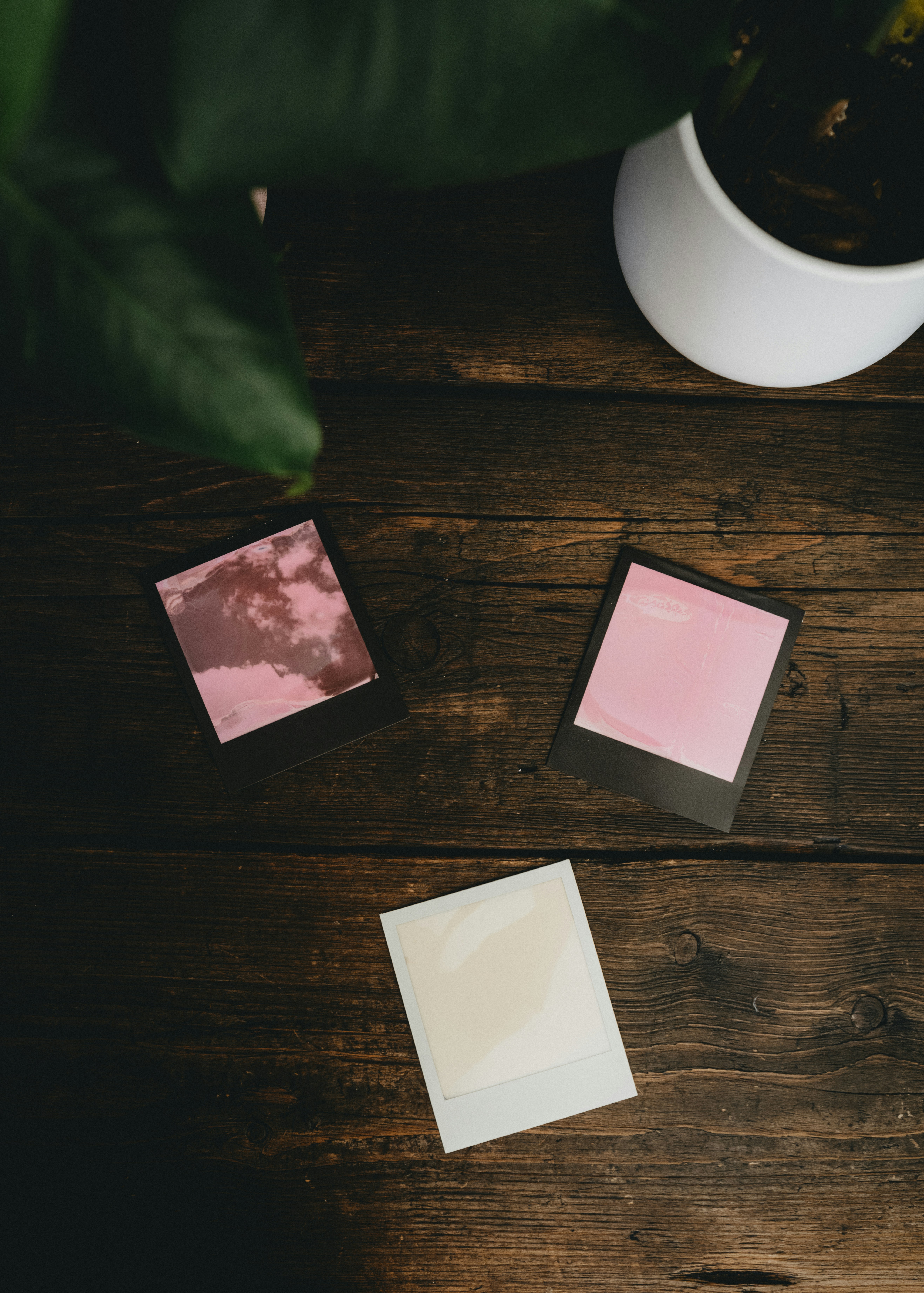 Photo by anniespratt