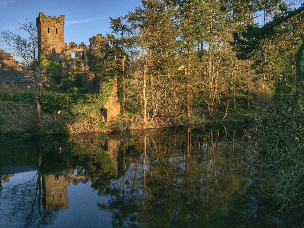 brown concrete castle near green trees and lake during daytime