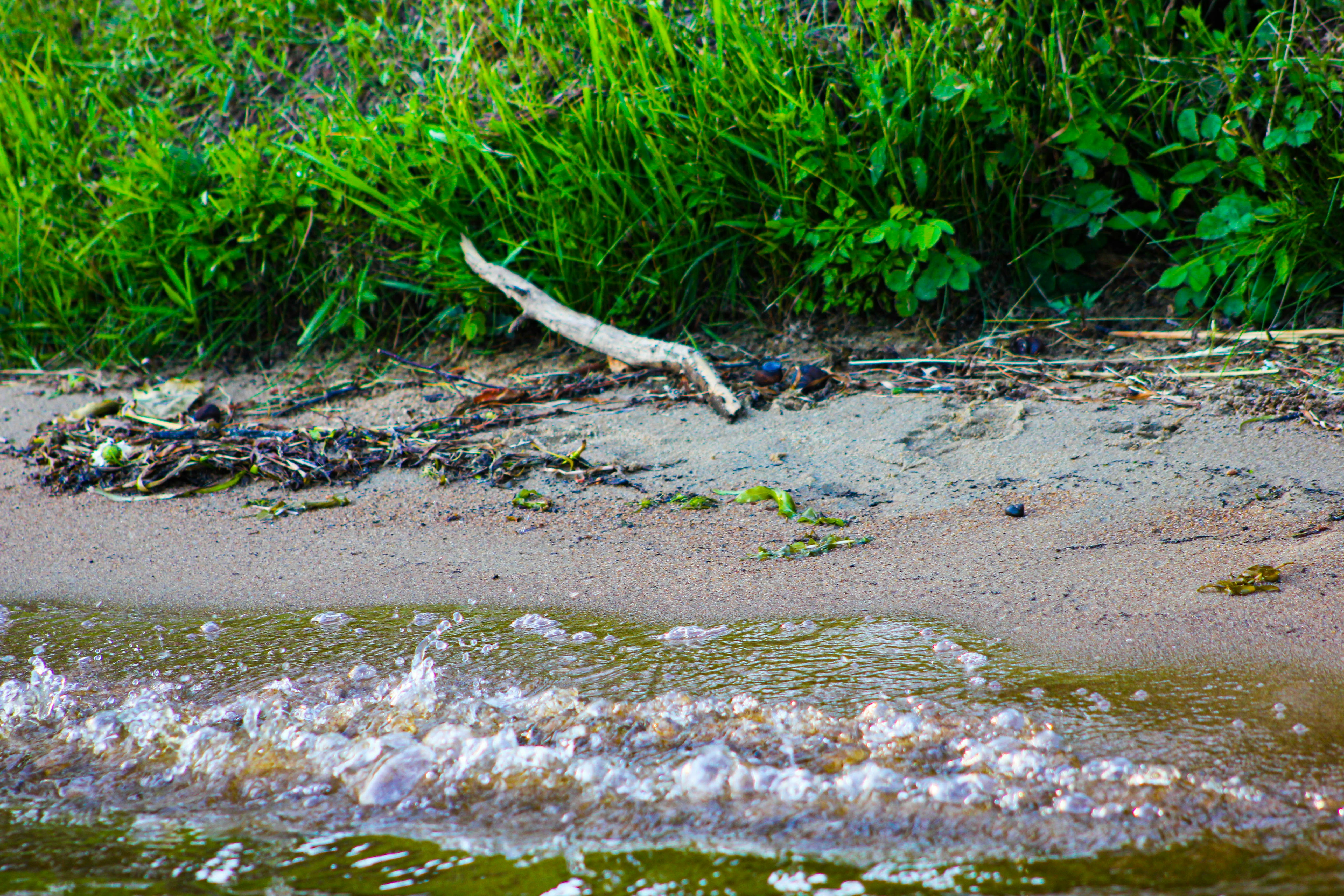 Photo by breezyb1802