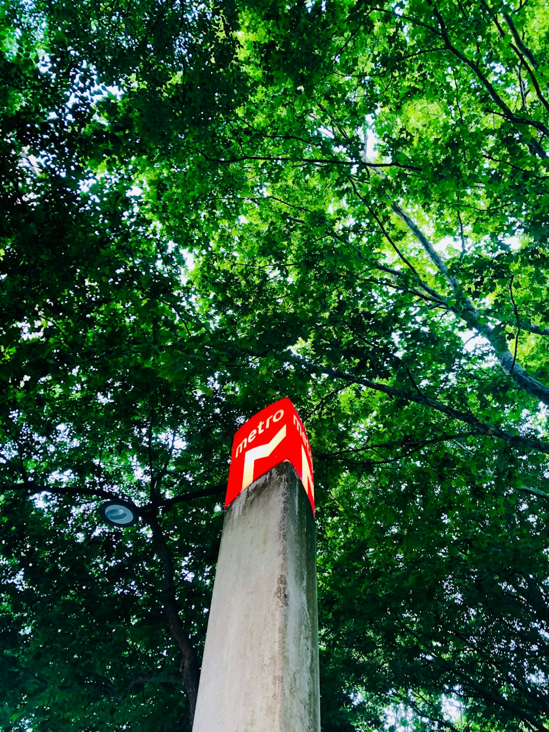 Forest photo spot Lisbon Sintra