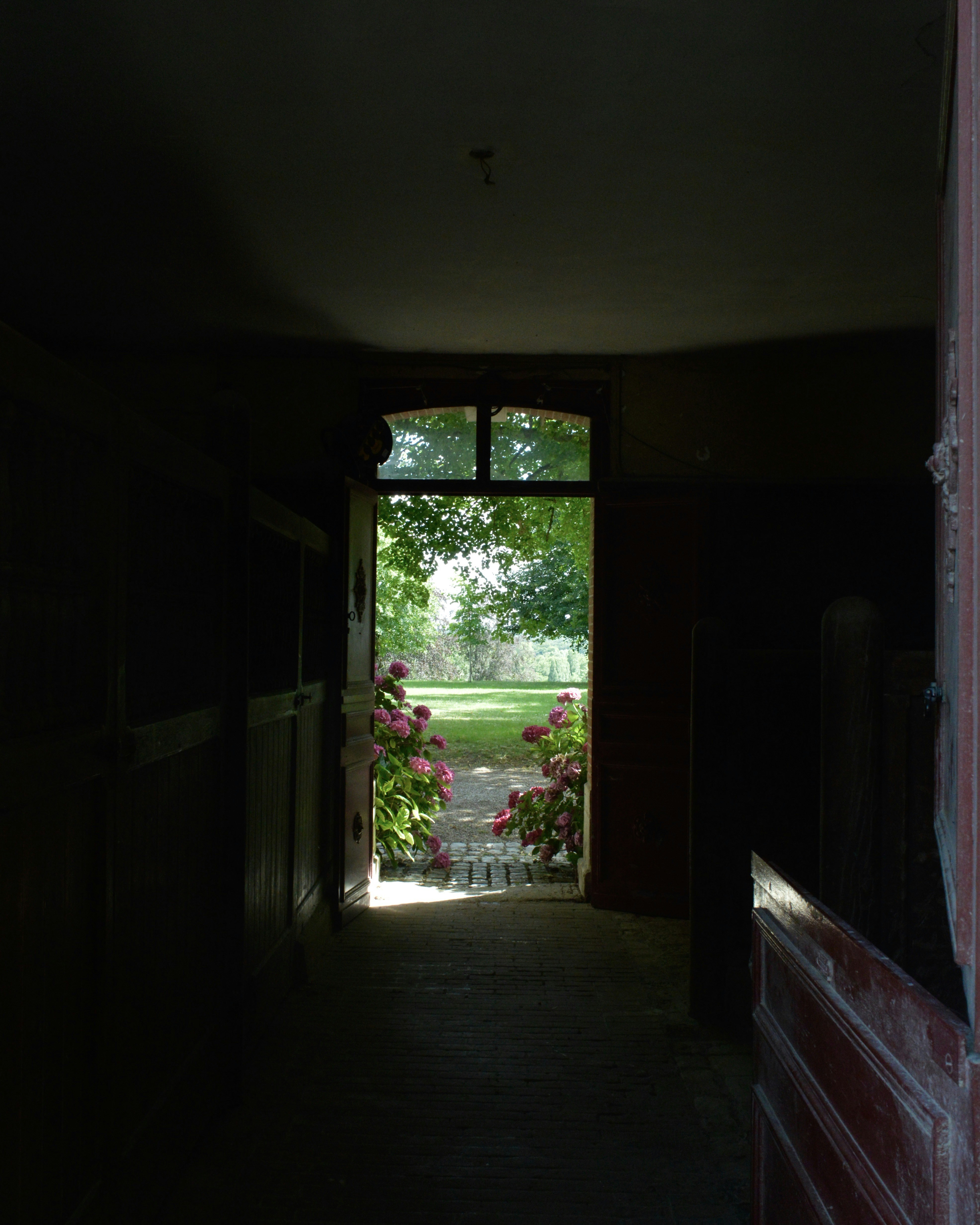 green plants on brown wooden window