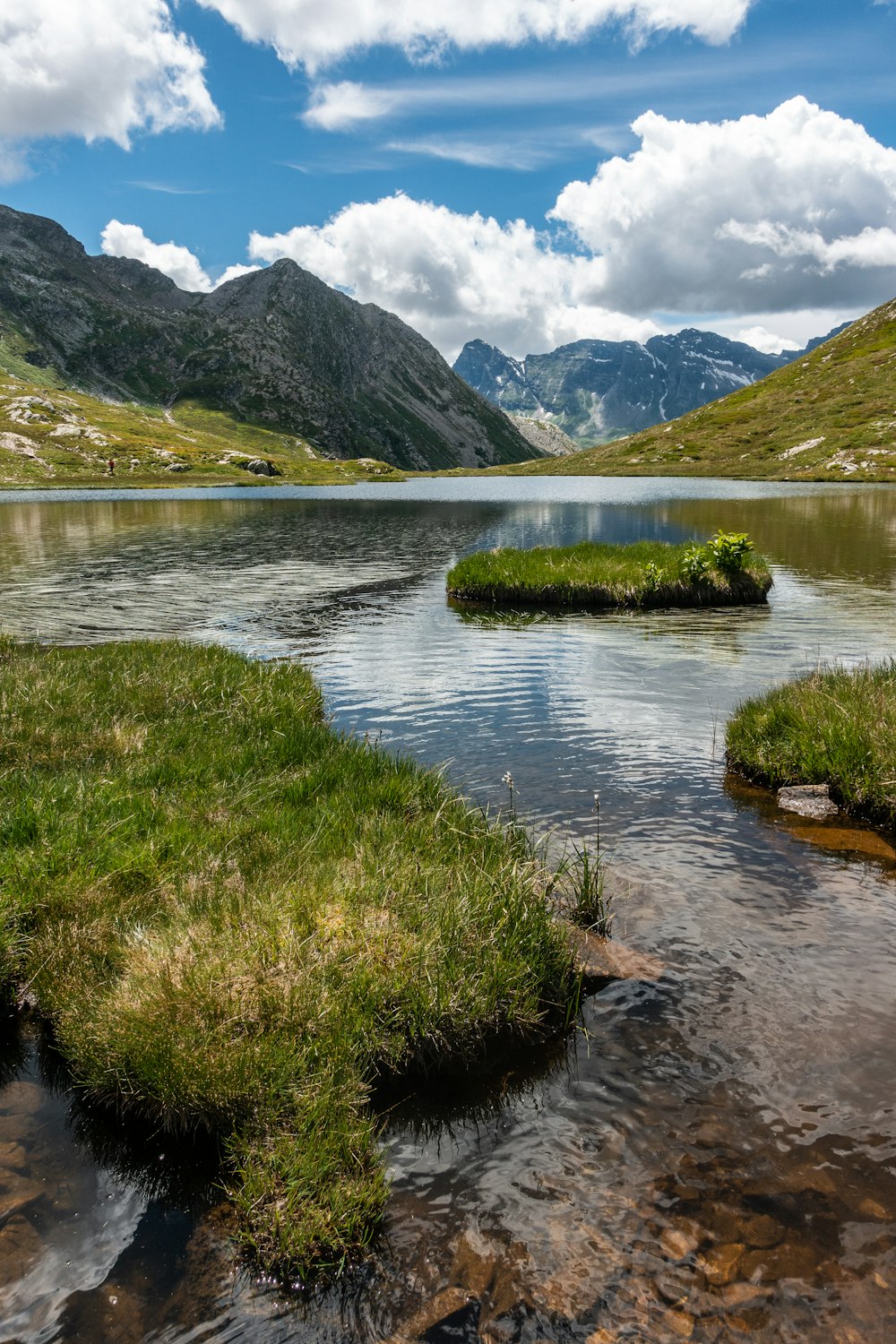 green grass and trees near lake and mountains during daytime