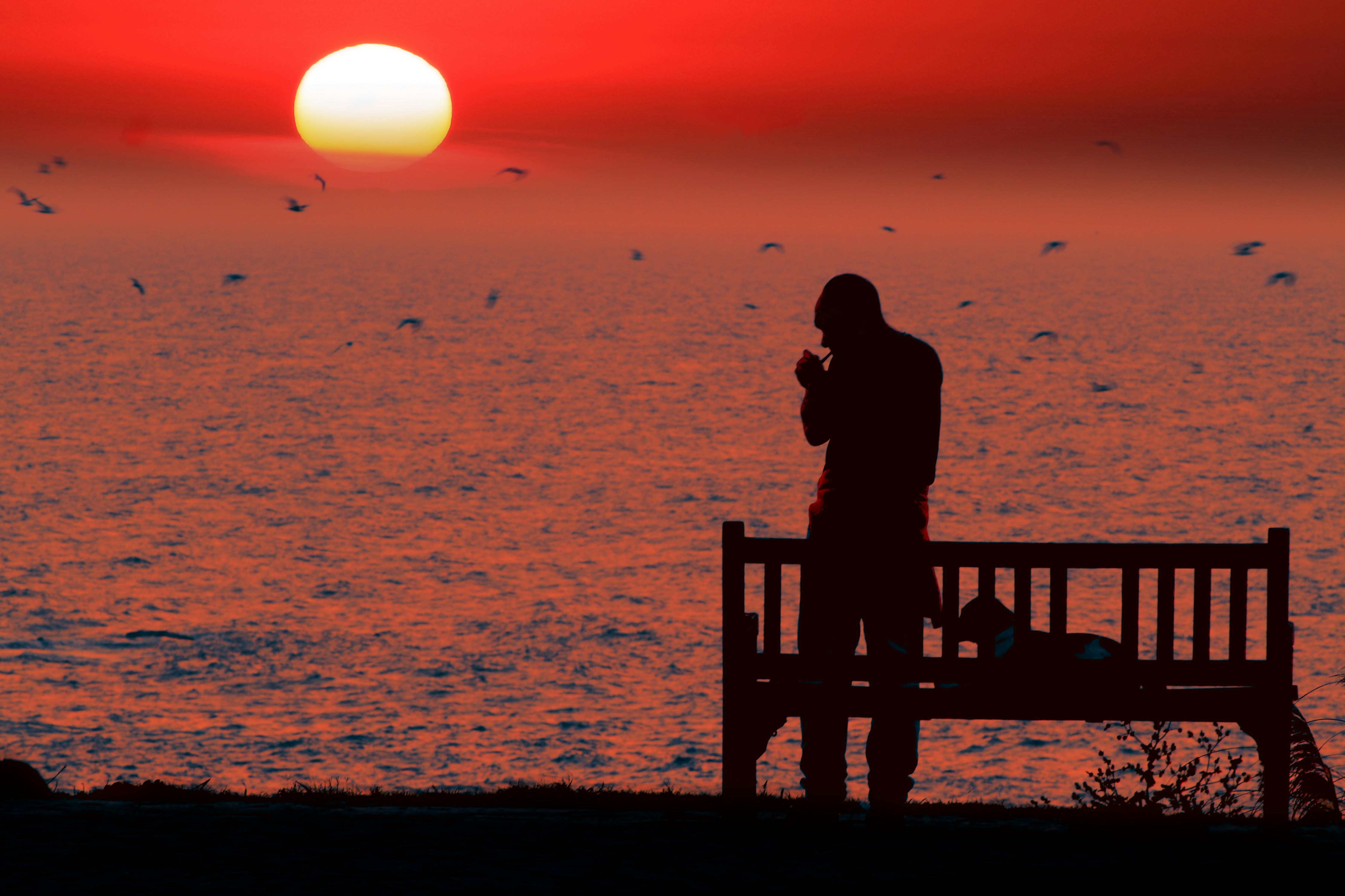 silhouette of man and woman standing on wooden dock during sunset