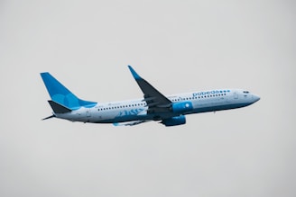 blue and white airplane in mid air