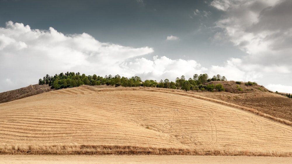 brown field under blue sky and white clouds during daytime