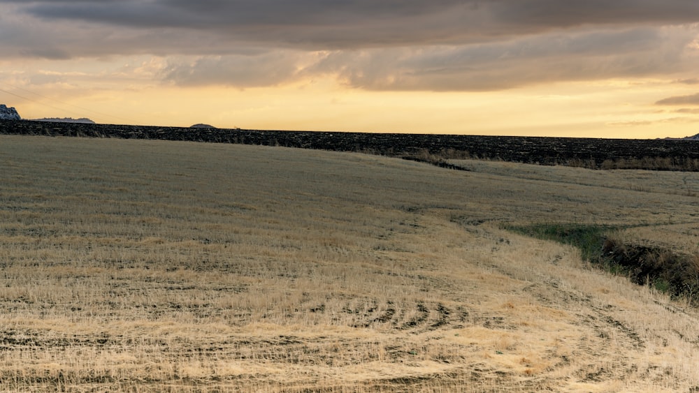 green grass field under cloudy sky during daytime