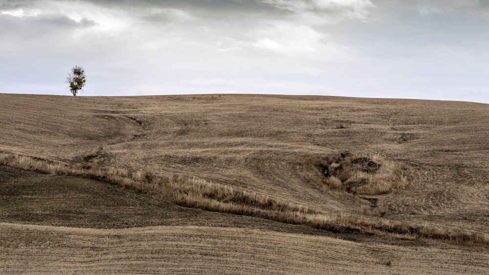 brown field under white clouds during daytime