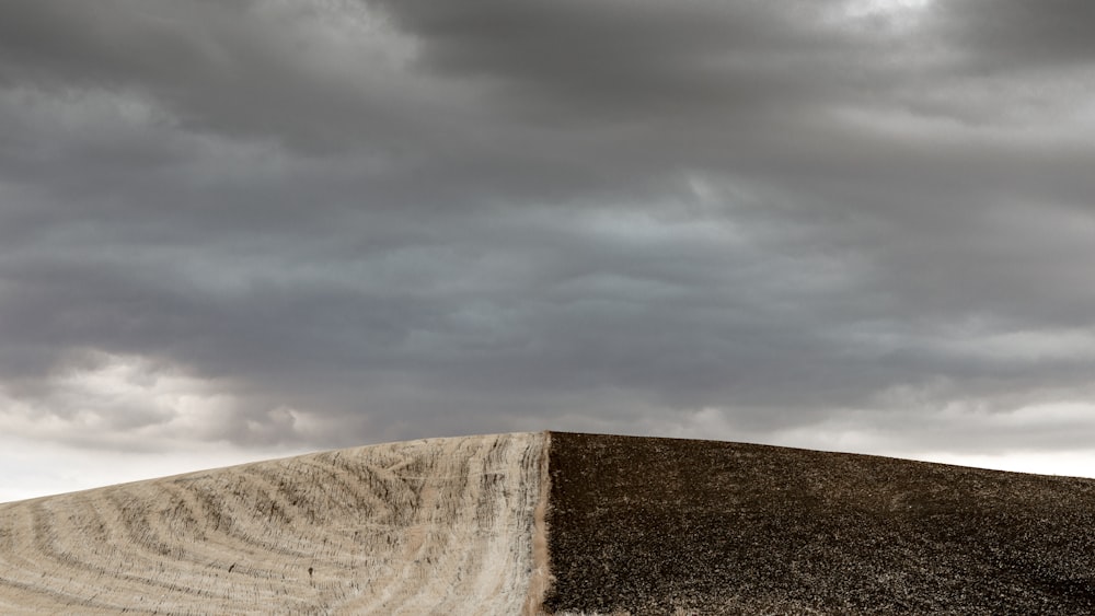 campo marrón bajo el cielo azul