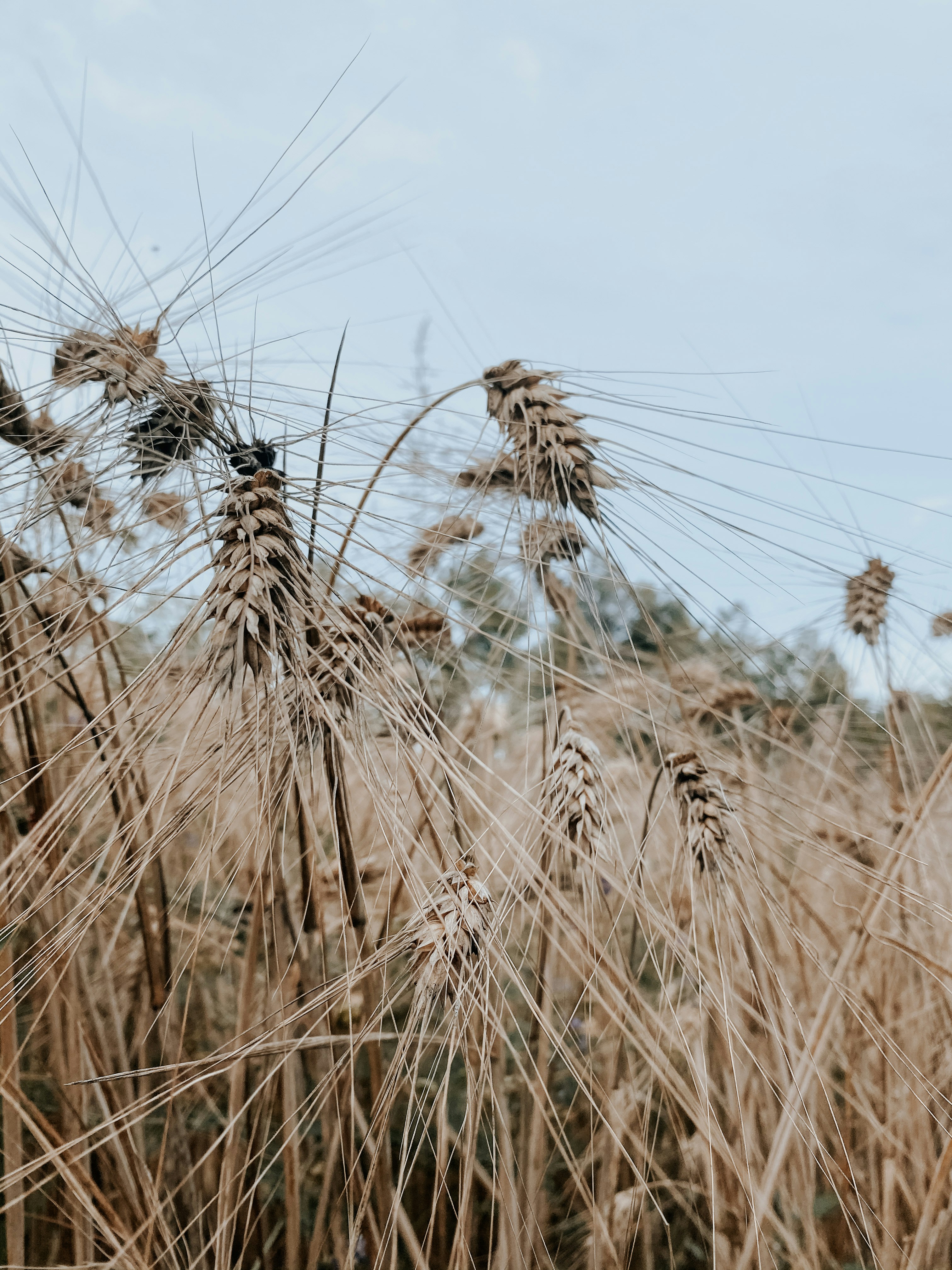 Photo by daniela_elsini