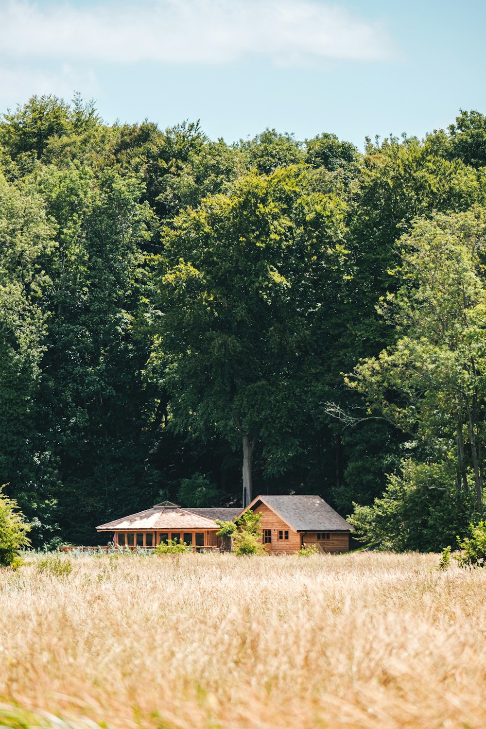 brown wooden house near green trees during daytime