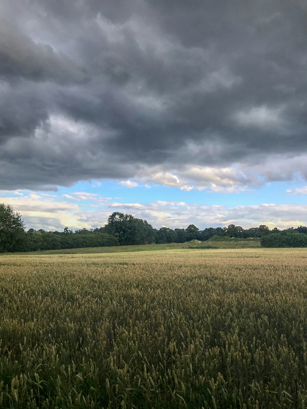 green grass field under cloudy sky during daytime