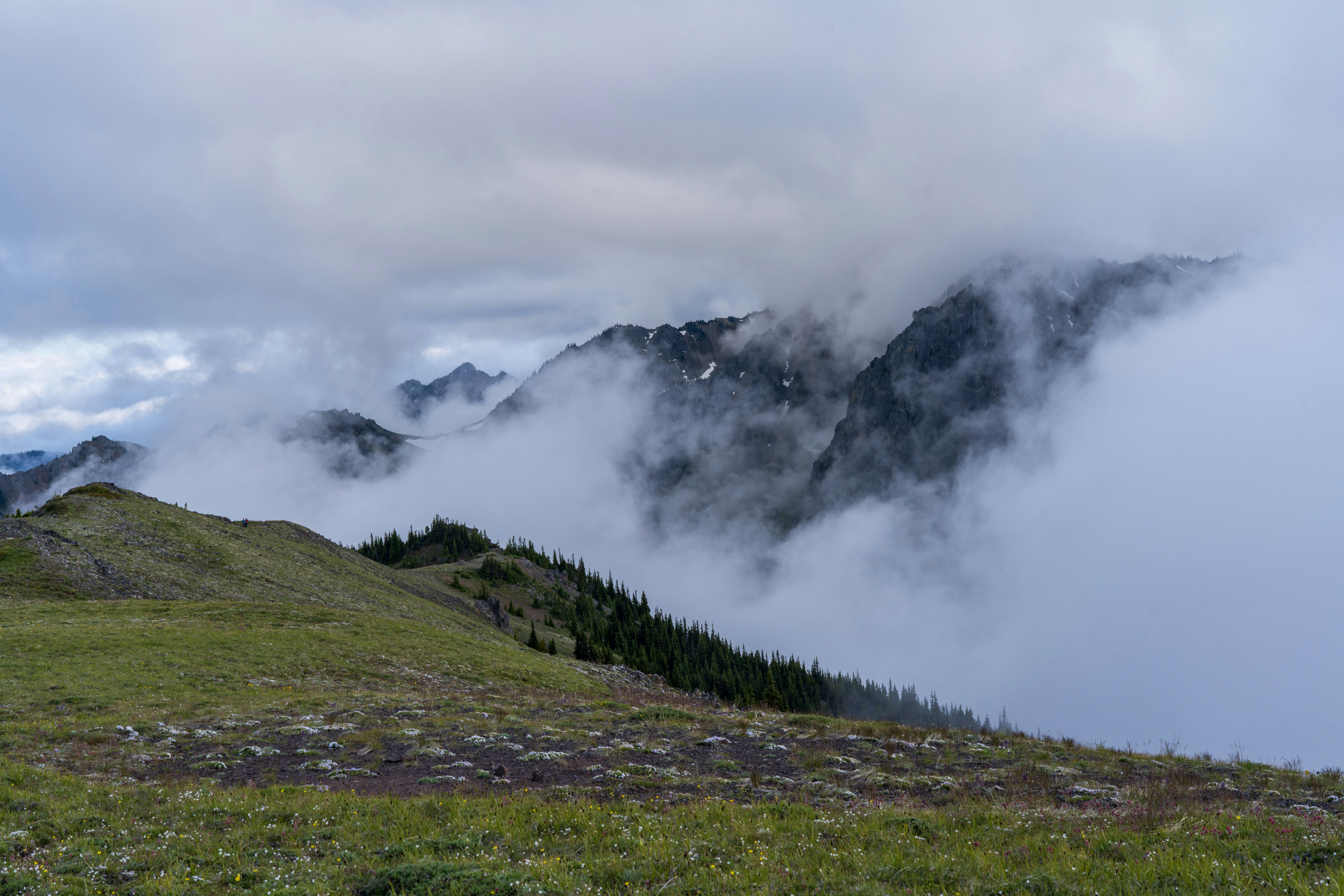 Photo by wanderingcrow