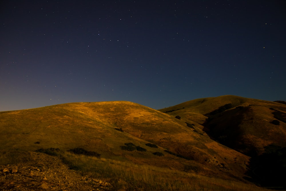 green grass field under blue sky during night time