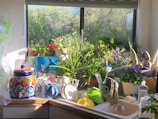 A bright kitchen counter displaying colorful utensils and ceramic bowls.