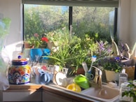 A kitchen counter is filled with various items, including colorful potted plants and an array of dishes and utensils around a sink. A window provides a view of trees outside, allowing sunlight to illuminate the room. A vibrant ceramic container is on the counter, along with bottles and kitchen tools.