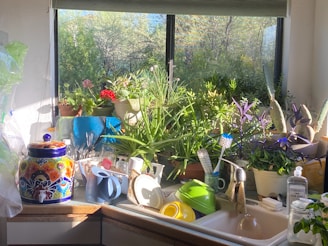 A kitchen counter is filled with various items, including colorful potted plants and an array of dishes and utensils around a sink. A window provides a view of trees outside, allowing sunlight to illuminate the room. A vibrant ceramic container is on the counter, along with bottles and kitchen tools.