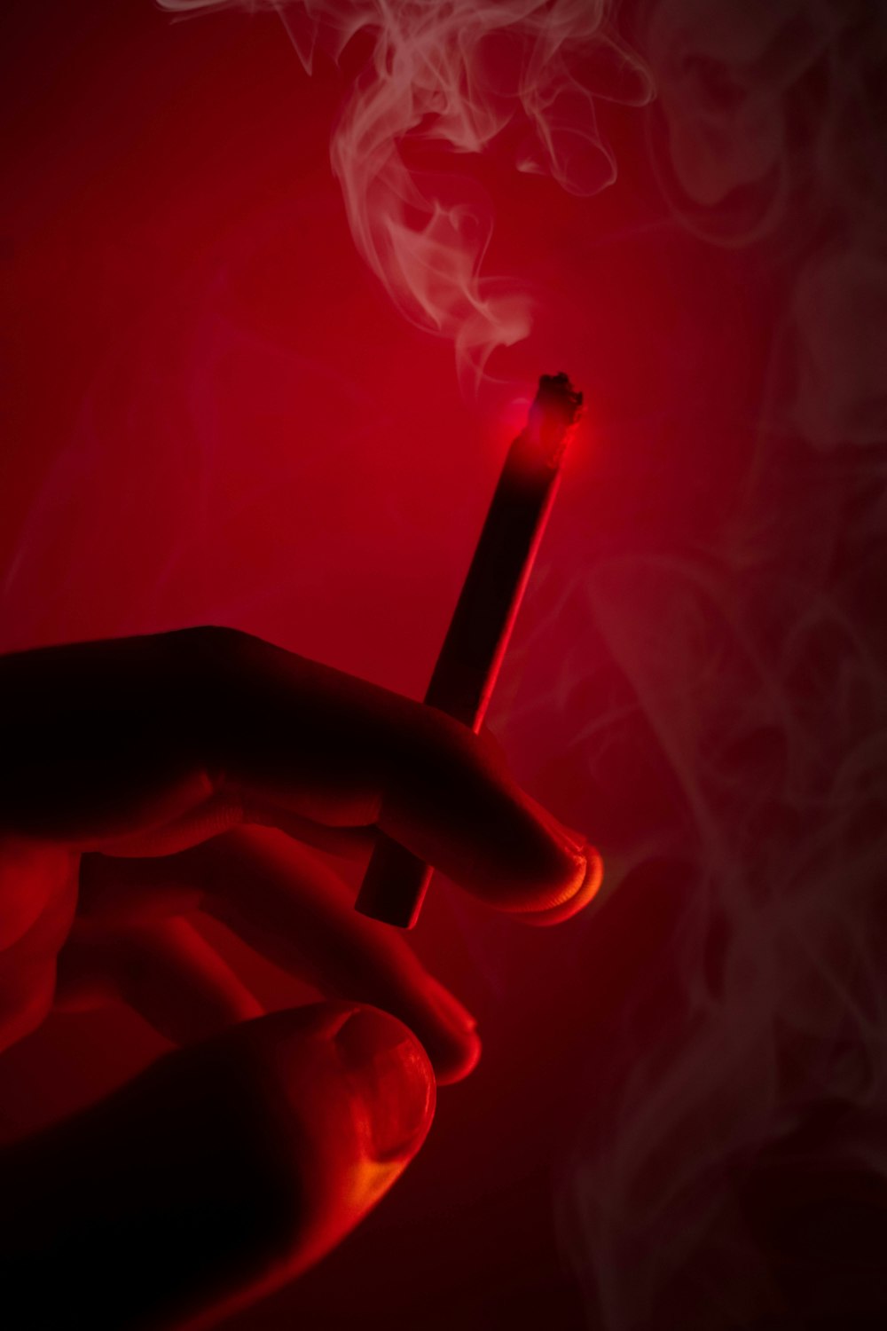 person holding lighted cigarette stick