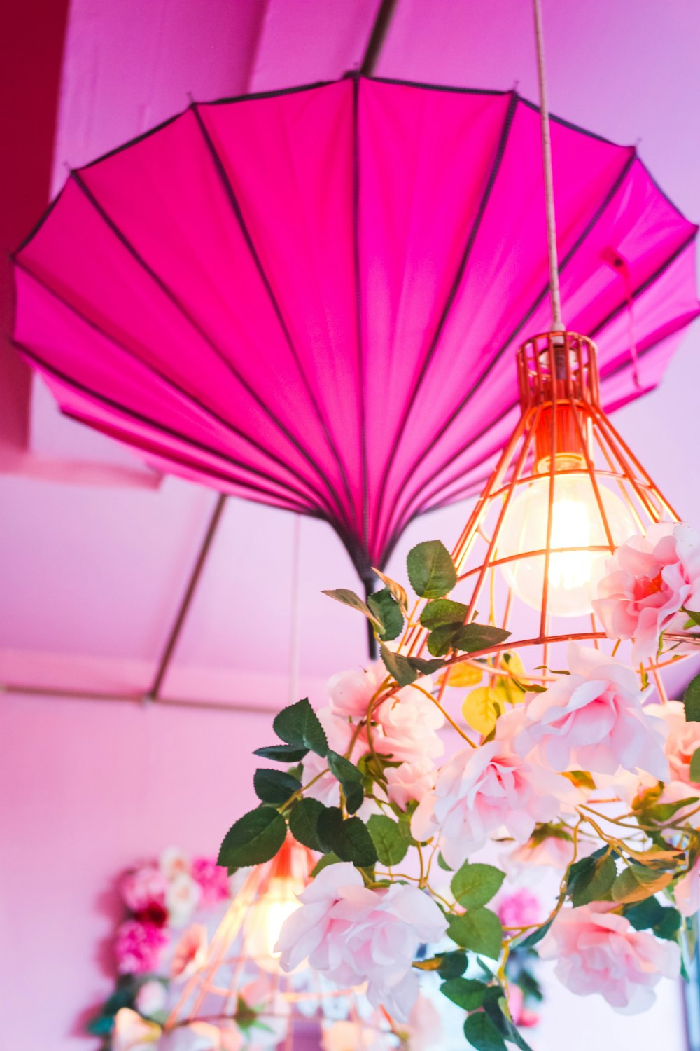 pink and white flower with red umbrella