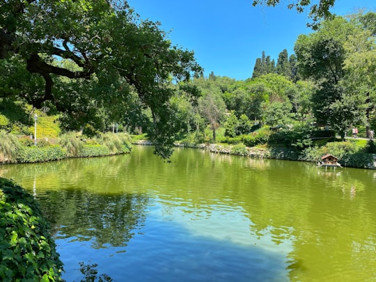 green trees beside river under blue sky during daytime in Yıldız Park Turkey