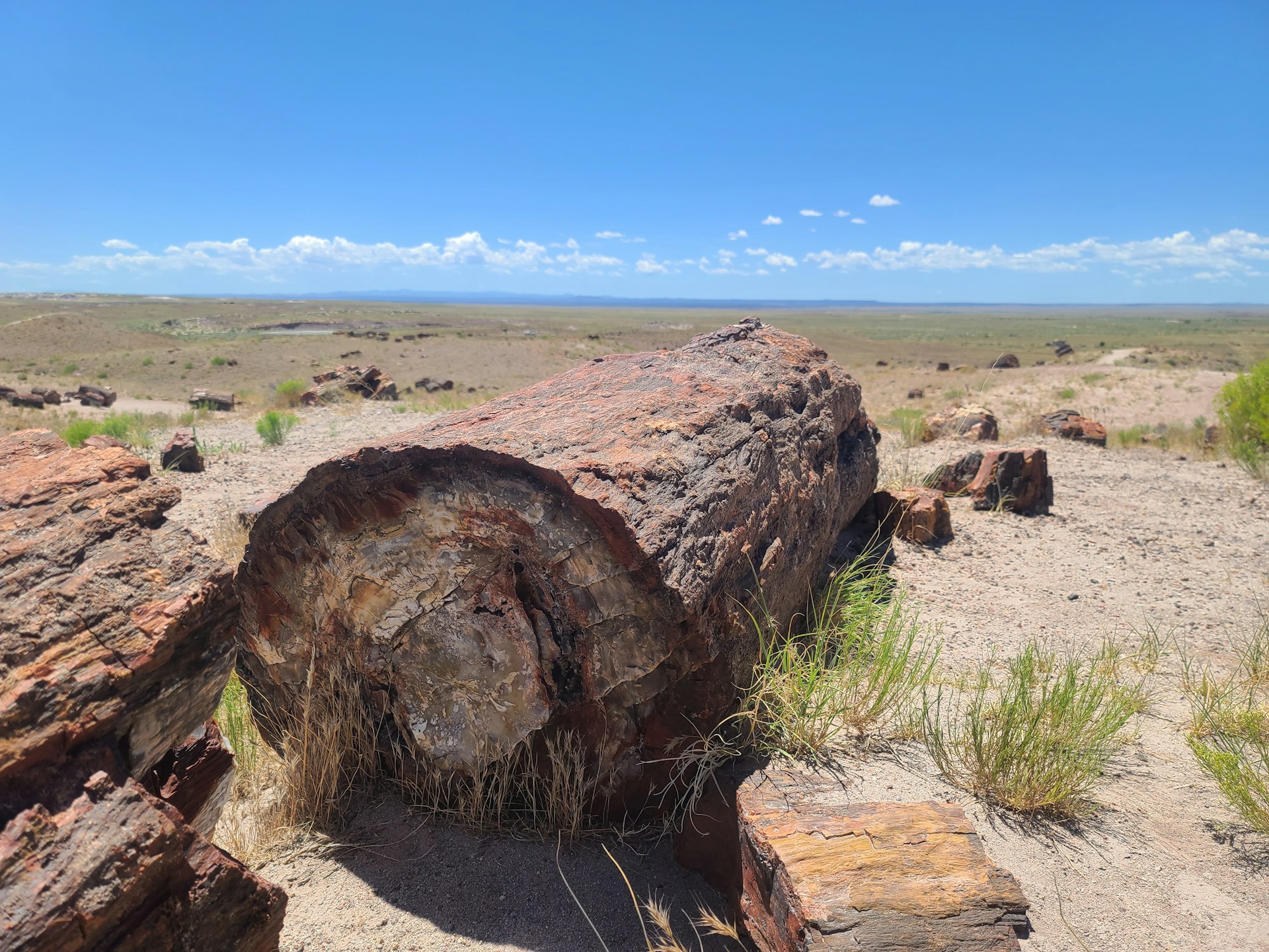 woman wearing yellow long-sleeved dress under white clouds and blue sky during daytime