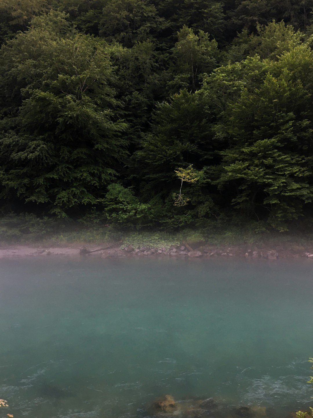 Watercourse photo spot Å Ä‡epan Polje Montenegro