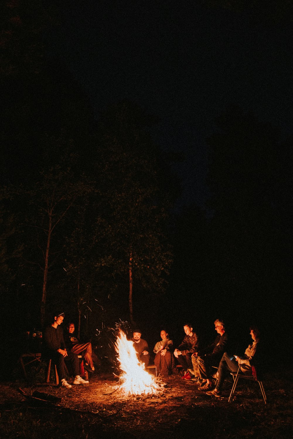 people in a concert during night time