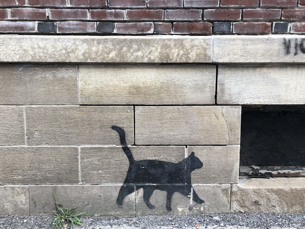 black cat on brown brick wall